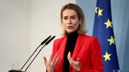 Евросоюз может выдвинуть России свой список требований для окончания войны