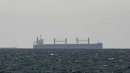 WSJ: Через Ормузский пролив за сутки прошло более 20 судов