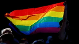 Проект «Парни+» признали «экстремистской» организацией