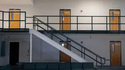 ✈️🇺🇸Приговоренному в РФ за посты к 14 годам грозит депортация из США