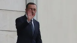 Суд назначил 19 лет заключения грузинскому ультраправому активисту по делу о вербовке в РДК