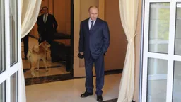 Федеральная служба охраны предложила установить охраняемые зоны вокруг шести участков — пяти в Сочи и одном в Кисловодске, где находится правительственная дача "Сосновый бор"