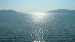 Выжившему в Охотском море Михаилу Пичугину вынесли приговор