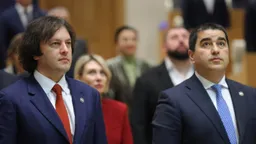 "Грузинская мечта" внесет в КС новый иск о запрете радикальных оппозиционных партий