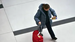 ГП потребовала передать государству систему бронирования авиабилетов Leonardo