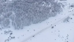 Законопроект о изменении границ ООПТ для строительства объектов федерального значения рассмотрен в Общественной палате