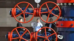 Индия в январе снизила импорт российской нефти в 3,5 раза