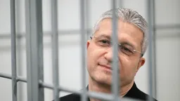 Мосгорсуд вернул осужденному на 13 лет за растрату экс-замминистру обороны Иванову земельный участок и жилой дом