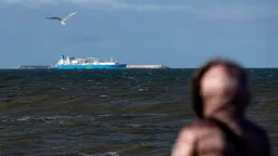 Акции российских нефтегазовых компаний выросли на фоне роста цен на нефть из-за боевых действий в Персидском заливе