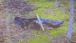 Украина извинилась перед Финляндией за прилет дронов