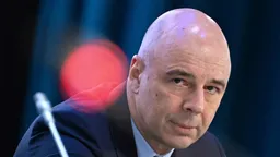 Силуанов указал на важность борьбы с теневым сектором экономики