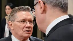 Лихачев: еще две группы сотрудников покинут АЭС «Бушер» в ближайшие дни