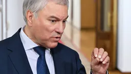 Володин анонсировал принятие нового пакета антифрод-мер в мае