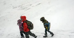 Свободное посещение ввели в школах и детсадах Владивостока из-за циклона