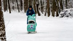В России трудовых мигрантов хотят обязать содержать свои семьи на уровне прожиточного минимума