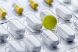 创新药上游CRO活跃，“猴茅”昭衍新药涨停｜医药股周报