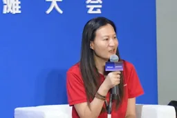 蚂蚁国际石文宜：当前“出海”危与机并存 多元化是关键词｜出海·消费