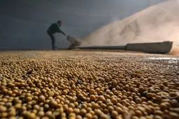 特朗普结束对华国事访问 中美大豆协议能否顺利落地？
