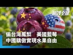 厲害了海盜王國！中國養套殺美商Driscoll's　竊取藍莓技術與品種　超越美國躍全球最大產地　驕傲實現「藍莓自由」｜鏡轉全球｜#鏡新聞