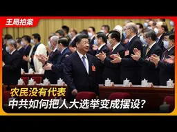 农民没有代表，中共如何把人大选举变成摆设？｜橡皮图章｜人大代表｜姚立法｜申纪兰｜胡小燕｜选举法｜选民小组｜王局拍案 20260310