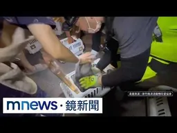 海邊驚見10隻緬因貓遭丟包　8隻染重病急搶命｜#鏡新聞