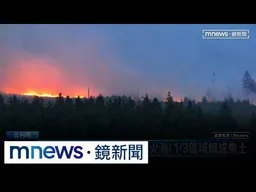 比利時最大自然保護區野火狂燒！　當局急撤600人避難｜#鏡新聞