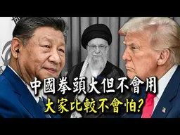 "哈米尼之死"中國的角色! 拳頭大卻不會用大家比較不會怕?