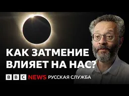 Илья Колмановский: как затмение влияет на поведение людей и животных | Интервью Би-би-си
