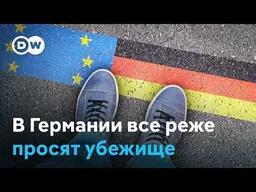 Миграционная политика ужесточается в Европе: как это влияет на рейтинги и почему планы критикуют