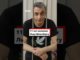 Льва Шлосберга (в реестре «иноагентов») суд приговорил к 11 годам и одному месяцу колонии