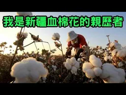 我是新疆集中營跟血棉花的親歷者！退役解放軍的親身分享。