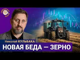 Банки, Wildberries, бензин и новая беда – зерно! | Николай Кульбака на Breakfast Show