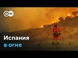 Испания снова горит: при чем здесь засуха и эвкалипты?