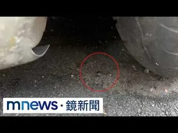 才剛出獄又犯案！　新北泰山男持「鎮暴槍」掃街擾民｜#鏡新聞