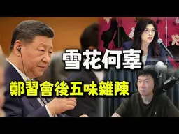 鄭習會後深夜感傷.... 傑克:雪花何辜!我們都祈禱雪崩不要發生