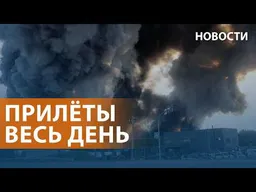 Россия бьет по Киеву. Зеленский и Трамп: итоги встречи. Чиновники ответят за медведей. НОВОСТИ