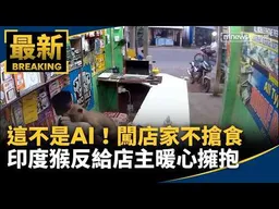 這不是AI！印度猴闖店家不搶食　反給店主暖心擁抱｜#鏡新聞