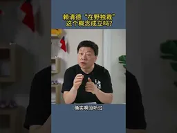 赖清德“在野独裁”这个概念成立吗？