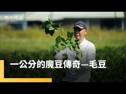 外銷日本冠軍的綠色奇蹟　看大農場農夫如何逆襲 　看名廚如何重新認識台灣毛豆｜風味轉身｜#鏡新聞