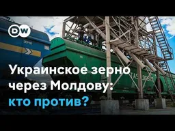 Украинское зерно через Молдову: выгода для транзита или угроза местным фермерам?