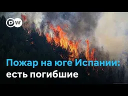 Люди спасают собак и кошек: страшный пожар на юге Испании