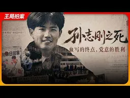 孙志刚之死：血写的终点，党意的胜利｜王局拍案202605013