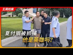夏付钢被抓捕，他是英雄吗？ ｜张扣扣｜欧金中｜乡村社会｜公共服务｜王局拍案20260810