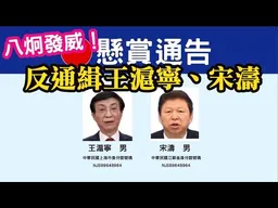 瞧不起台灣人嗎？八炯發威，「反通緝」王滬寧、宋濤。大鷹派是不會退讓的！