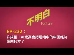 EP-232 许成钢：AI竞赛会把通缩中的中国经济带向何方？｜流动性陷阱｜中美AI竞赛｜通货紧缩｜内需不足｜机会成本｜算力差距