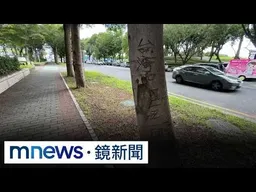 台中豐樂公園路樹遭殃！　樹幹遭刻字表達政治訴求｜#鏡新聞