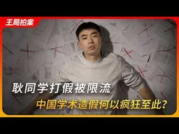 耿同学：讲述中国学术造假水平太低的故事！｜王局拍案20260602