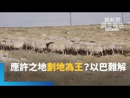 隔離牆外的哭聲！應許之地 誰的家園？以色列猶太牧羊人放牧侵擾　屯墾隔離牆檢查哨　成巴勒斯坦人夢魘｜以色列穹頂之下 衝突之地韌性啟示｜鏡新聞調查報告｜#鏡新聞