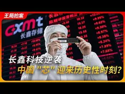 长鑫科技逆袭成长，中国“芯”迎来历史性时刻？｜朱一明｜海力士｜三星｜美光｜合肥国资委｜王局拍20260728