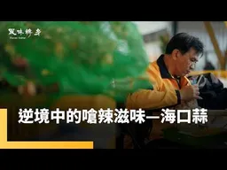 海���烈陽逼出嗆辣本色　雲林海口蒜辛香聞名　名廚調和濃郁滋味　萬年配角食材躍升餐桌風味主角｜風味轉身｜#鏡新聞
